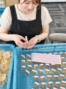 シール貼り